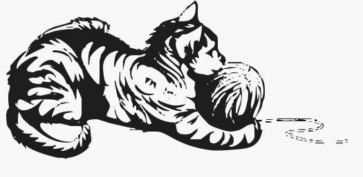 Kitten