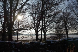 Snow in Lough 2