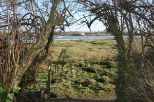 Thorney Island