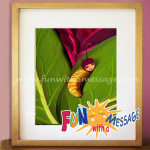Caterpillar's Dream Print