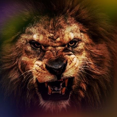  photo 833fa365-a10c-4a55-b03b-61413d045deb_zps16f40109.jpg