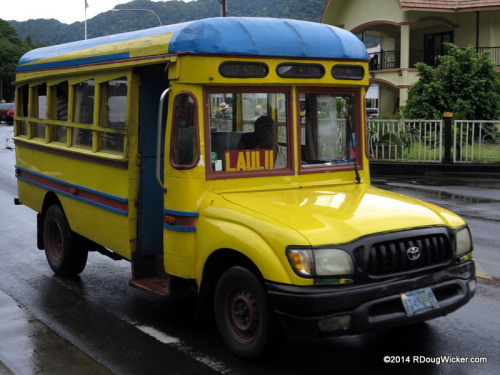 Colorful Bus