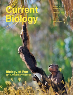 CURBIO_25_1.c1.indd