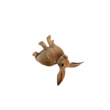 upsidedownbunny