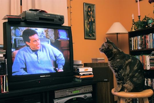 Even our cats are hooked. Photo by