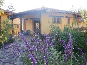 Private bungalows at Sol & Luna.