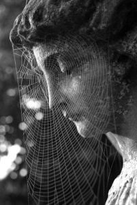 statue spiderweb