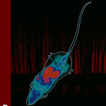 DraftCover2 copy