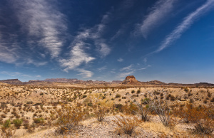 Desert Valley
