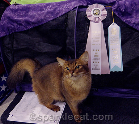 These ribbons matched my cage really nicely!
