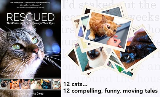 Rescued - The Stories of 12 Cats, Through Their Eyes