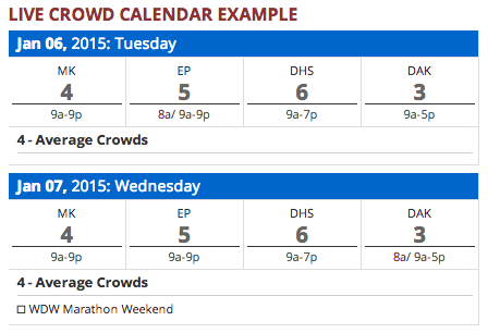How Crowded is Disney World?