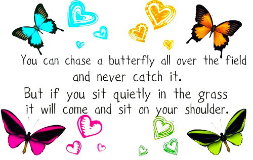 quiet butterfly quote