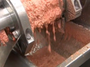 Mechanically separated. . . .something. Probably mammal.