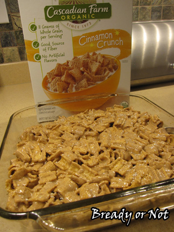 Snickerdoodle Krispies6_sm