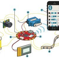 Illustration by Rob Nance