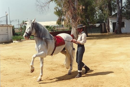 bullfighting school (small)