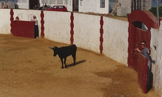 bullfighting school 2