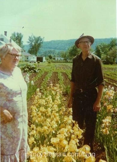 Double Wedding Ring Quilts/Victoria Findlay Wolfe/Sewing With Nancy