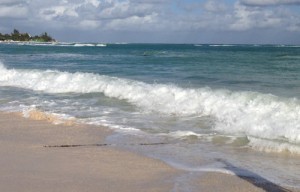 Scattered & Splattered