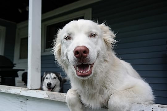 HI!!