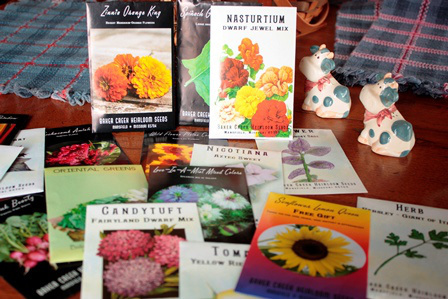 2 Heirloom Seeds packages on antique table resized