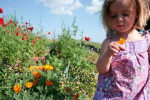 Grandbaby Chloe in my flower bed