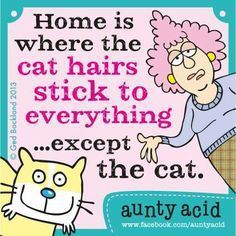 59aa27e3b40eb1269fd6c08be76343b6