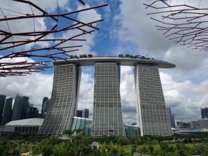 DSC03545