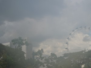 DSC03646