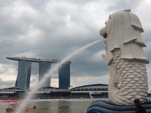IMG_5398