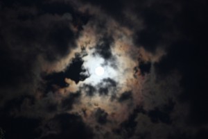Sun or moom?