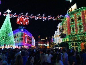 Hollywood Studios' Osborne Lights looks crowded but was manageable - December 27, 2014, 7:45 PM (Photo by Sarah Graffam)