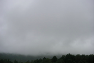 image courtesy of photo bucket.com