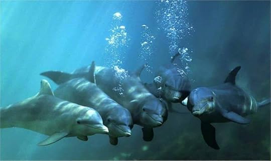 1546437_409750012490668_1699000806_n