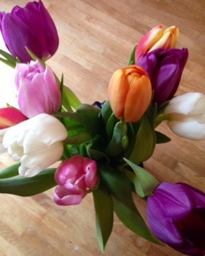 Jag säger bara: tulpaner