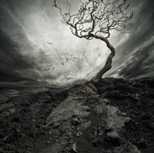shutterstock_99260396