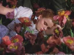 wizard of oz poppies