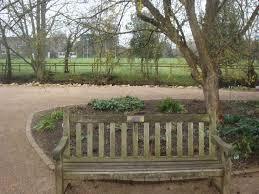 will and lyras bench