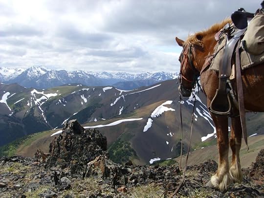  photo horse-top-mountain_zps699287bc.jpg