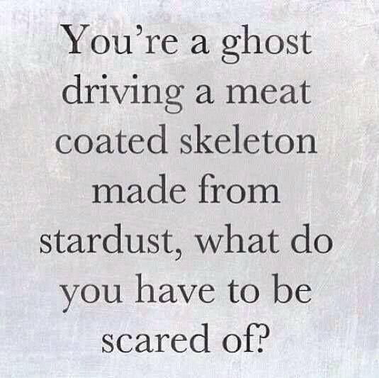 ghost-stardust-meat
