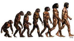 evolitio