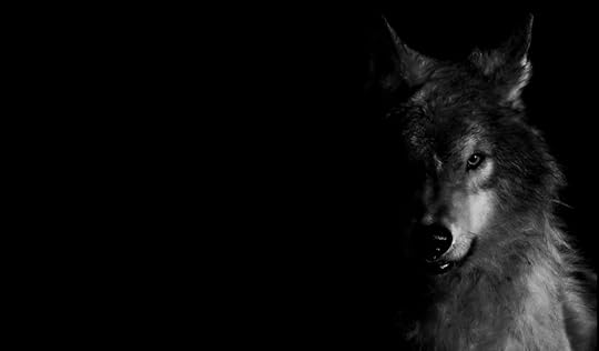  photo wolf_wallpaper_by_unachicadelmonton-d5x9k4c.jpg