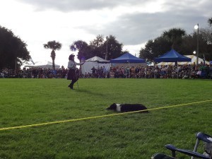 Highland Festival 2015 051