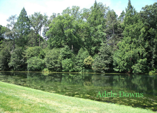 LongwoodGardensLake copy