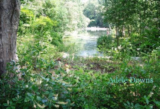 LongwoodGardensMonet2 copy