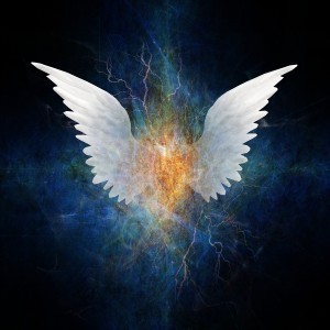 Beautiful Wing Design