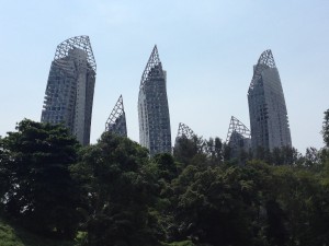 IMG_5814