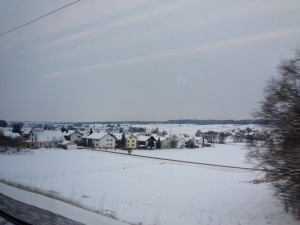 IMG_5930