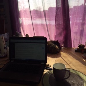 gauzy water view with cat